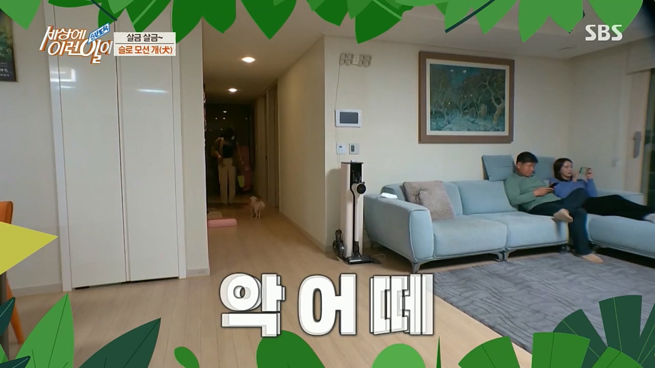 순간포착 세상에 이런일이.E1210.221221p.H264-F1RST.mp4_20221221_194009.084.jpg