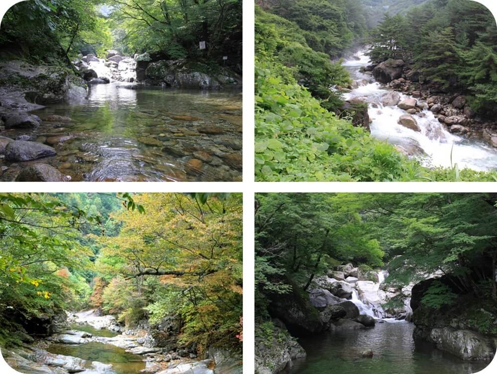경상남도-함양-칠선-계곡-나무-바위-맑은-물-풍경-사진