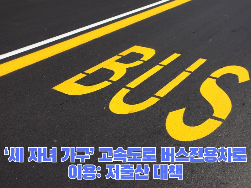 고속도로 전용도로 처출산 대책