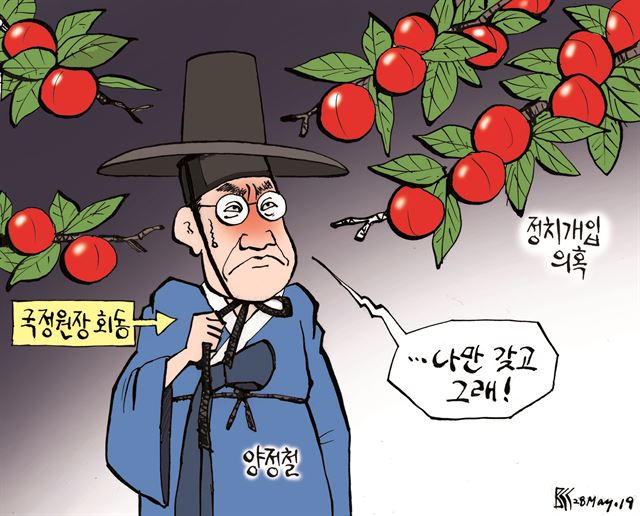  [만평갤러리] 5월28일 시사만평 모음