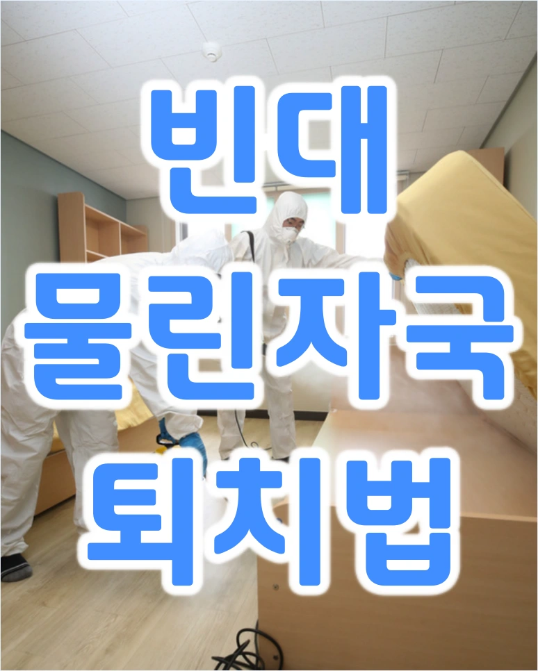 빈대 물린자국 퇴치법