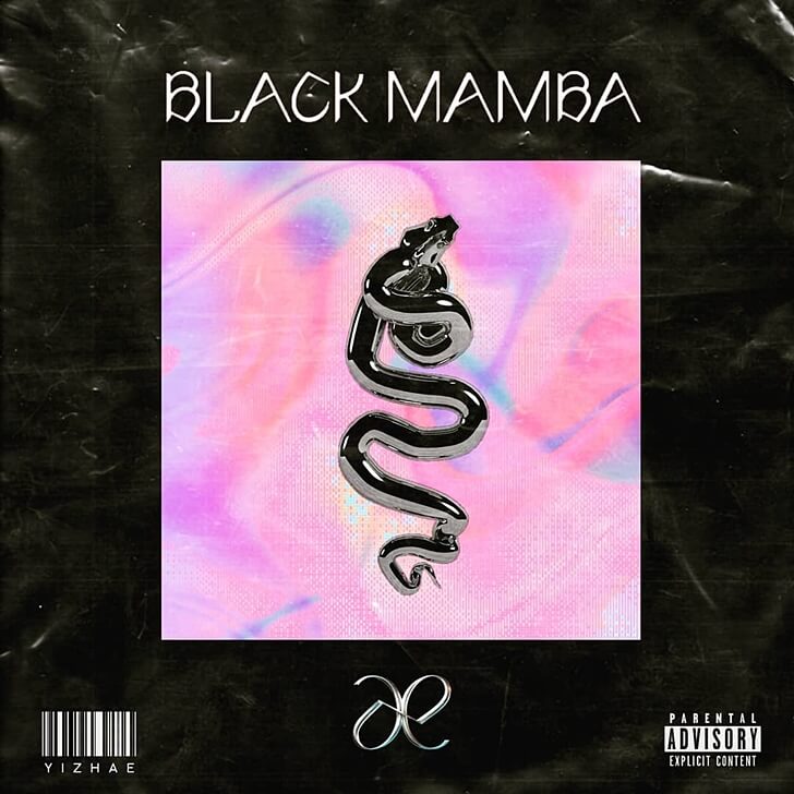  에스파 Black Mamba 블랙맘바 뜻 가사 뮤비(+표절의혹 무엇?)