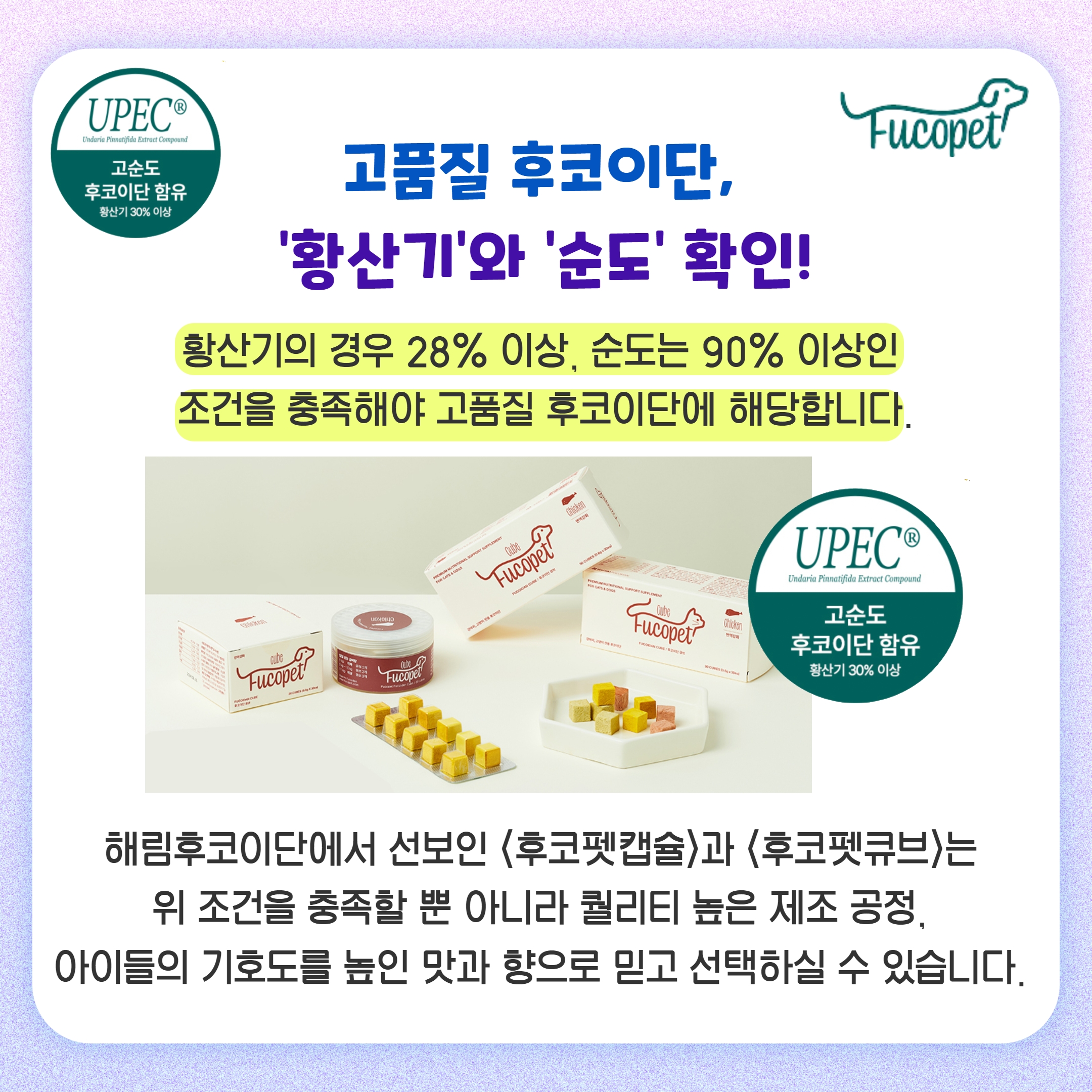 고양이 호흡 보조제/상부 호흡기 증후군/후코이단 푸코펫 8
