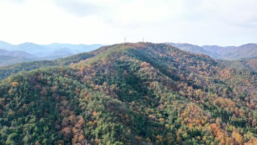 순천 가볼만한곳