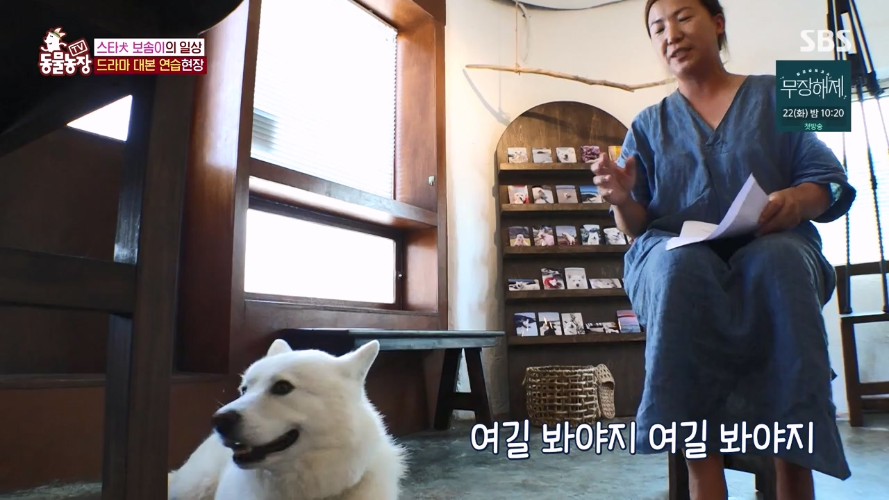 TV 동물농장.E1134.230821p-NEXT.mp4_20230820_193339.782.jpg