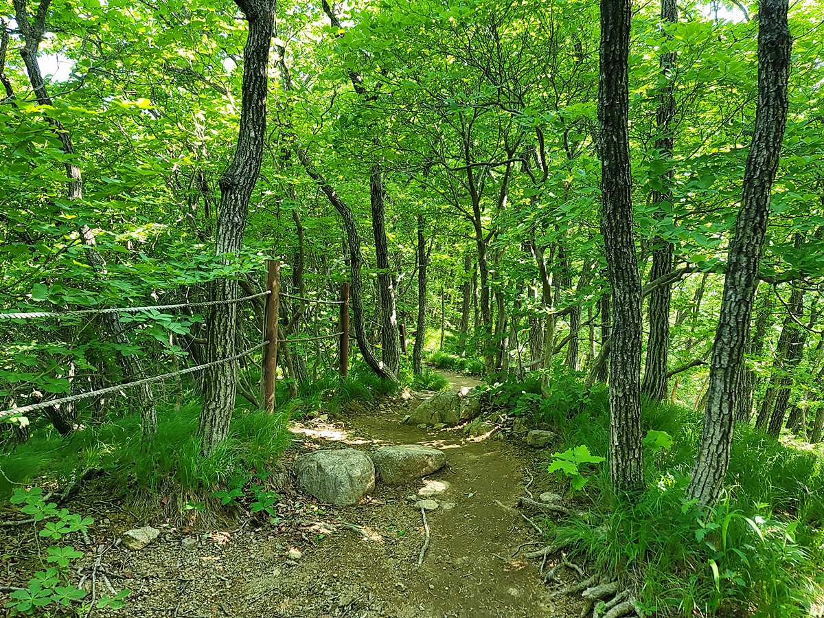 소백산국립공원 희방제2주차장 이미지