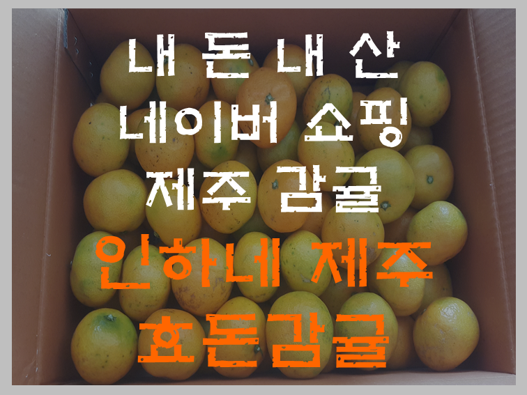  제주도 농장에서 판매하는 귤을 인터넷으로 구매 한 인하네 제주 효돈감귤 개봉기