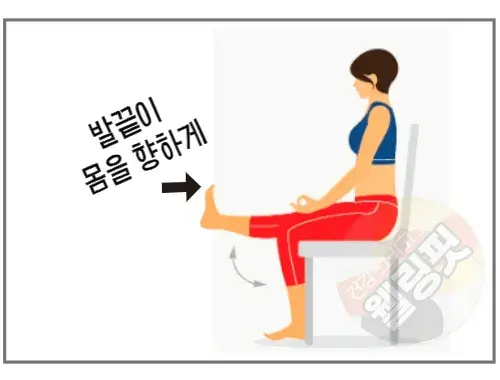 의자에서-할-수-있는-대퇴사두근-강화-운동