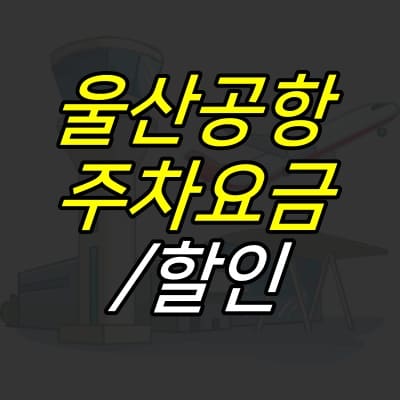 공항을-떠나는-비행기가-그려진-그림-위에-제목이-적혀있다.