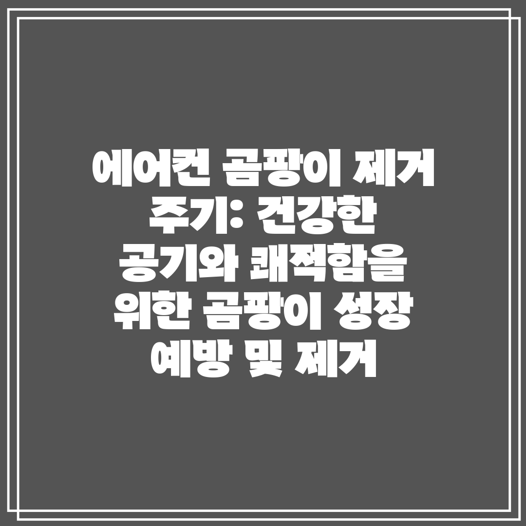 에어컨 곰팡이 제거 주기 건강한 공기와 쾌적함을 위한 