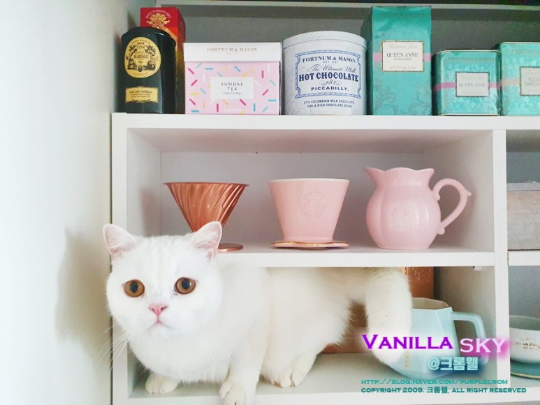 발행조회변경방법 블랙 프라이데이 해외직구 필수 개인통관고유부호 11