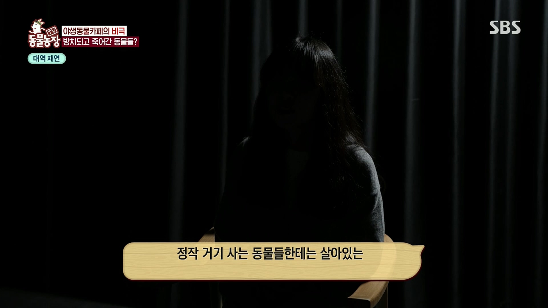TV 동물농장.E1097.221127p.H264-F1RST.mp4_20221127_181719.696.jpg