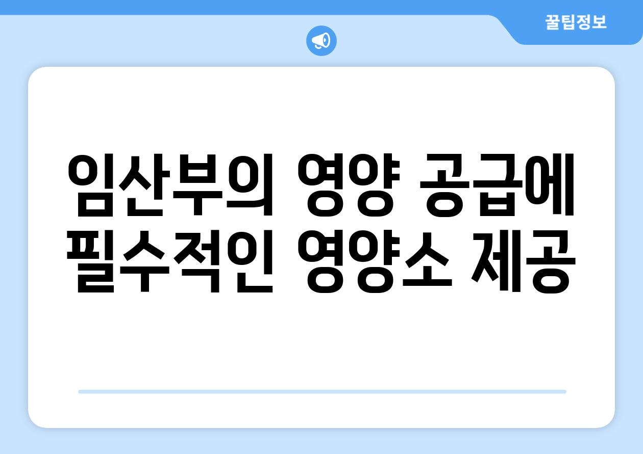 임산부의 영양 공급에 필수적인 영양소 제공