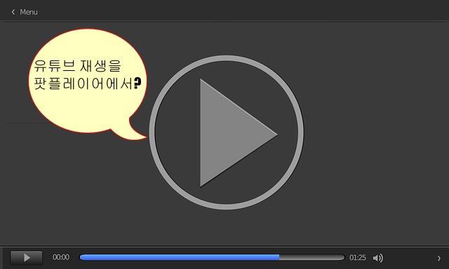  유튜브 영상을 팟플레이어에서 볼 수 있다고? 방법 알아보기.