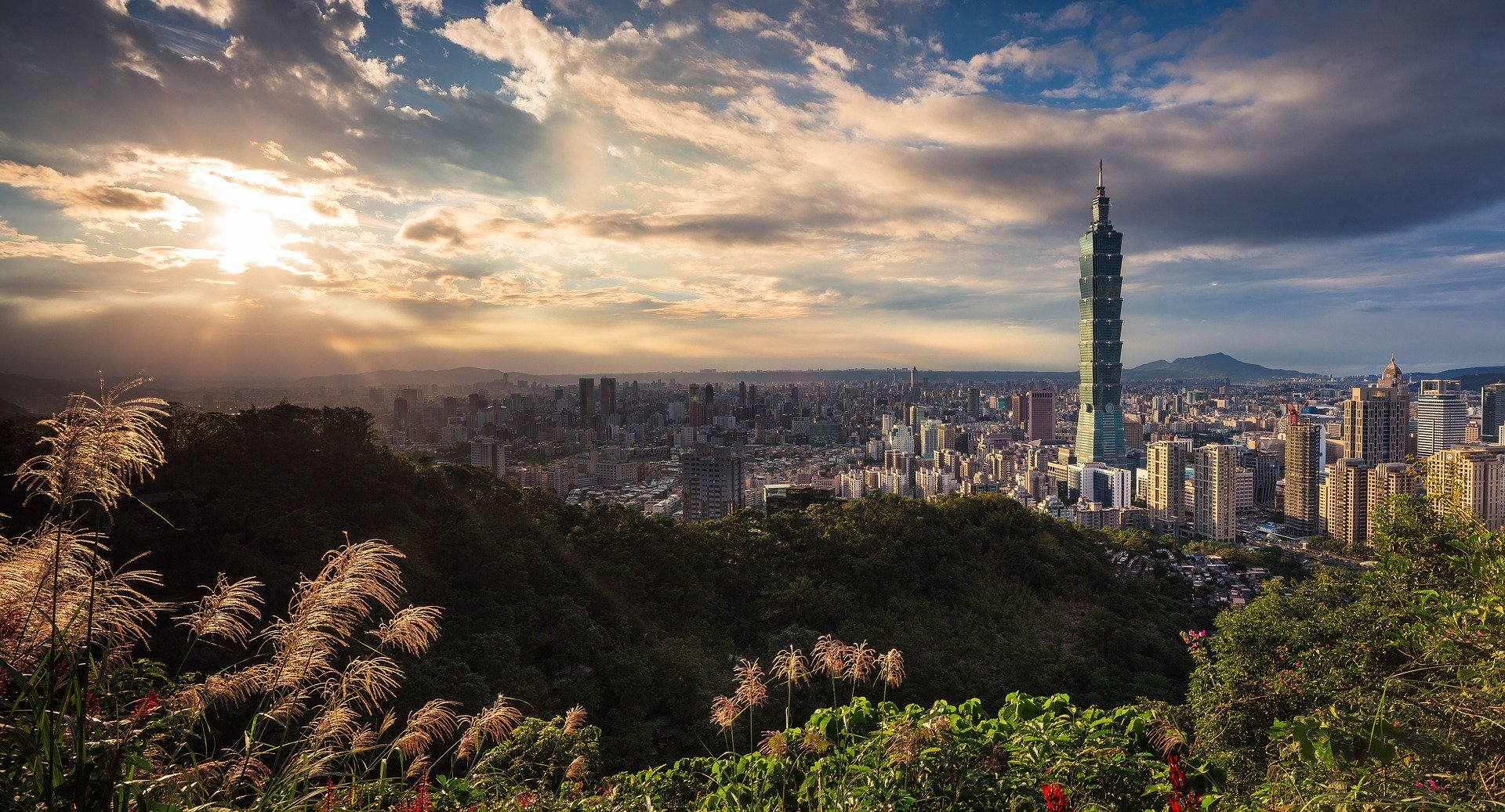 타이베이 101 건물이 보이는 풍경