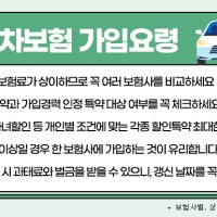  자동차보험료 비교견적사이트