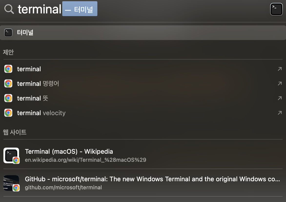 mac terminal 검색