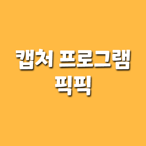  캡처 프로그램 픽픽