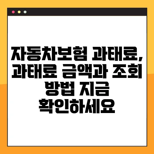 자동차보험 과태료, 과태료 금액과 조회 방법 지금 확인하세요