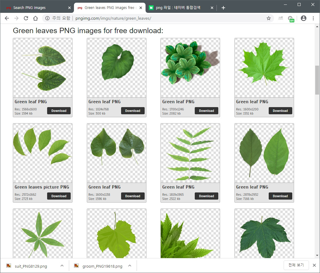 식물 png 이미지 파일
