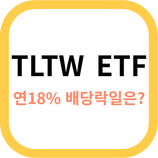 TLTW 사진