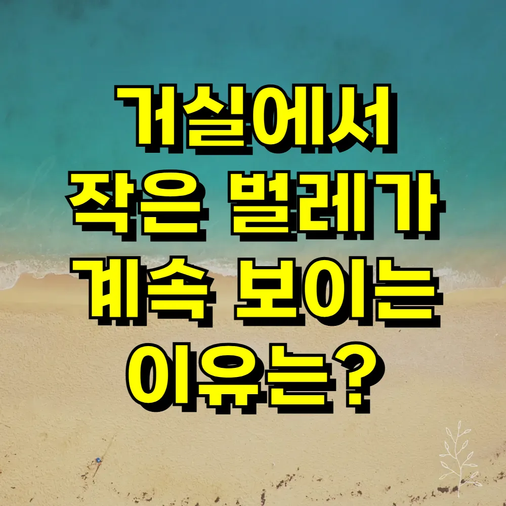 거실에서 작은 벌레가 계속 보이는 이유는