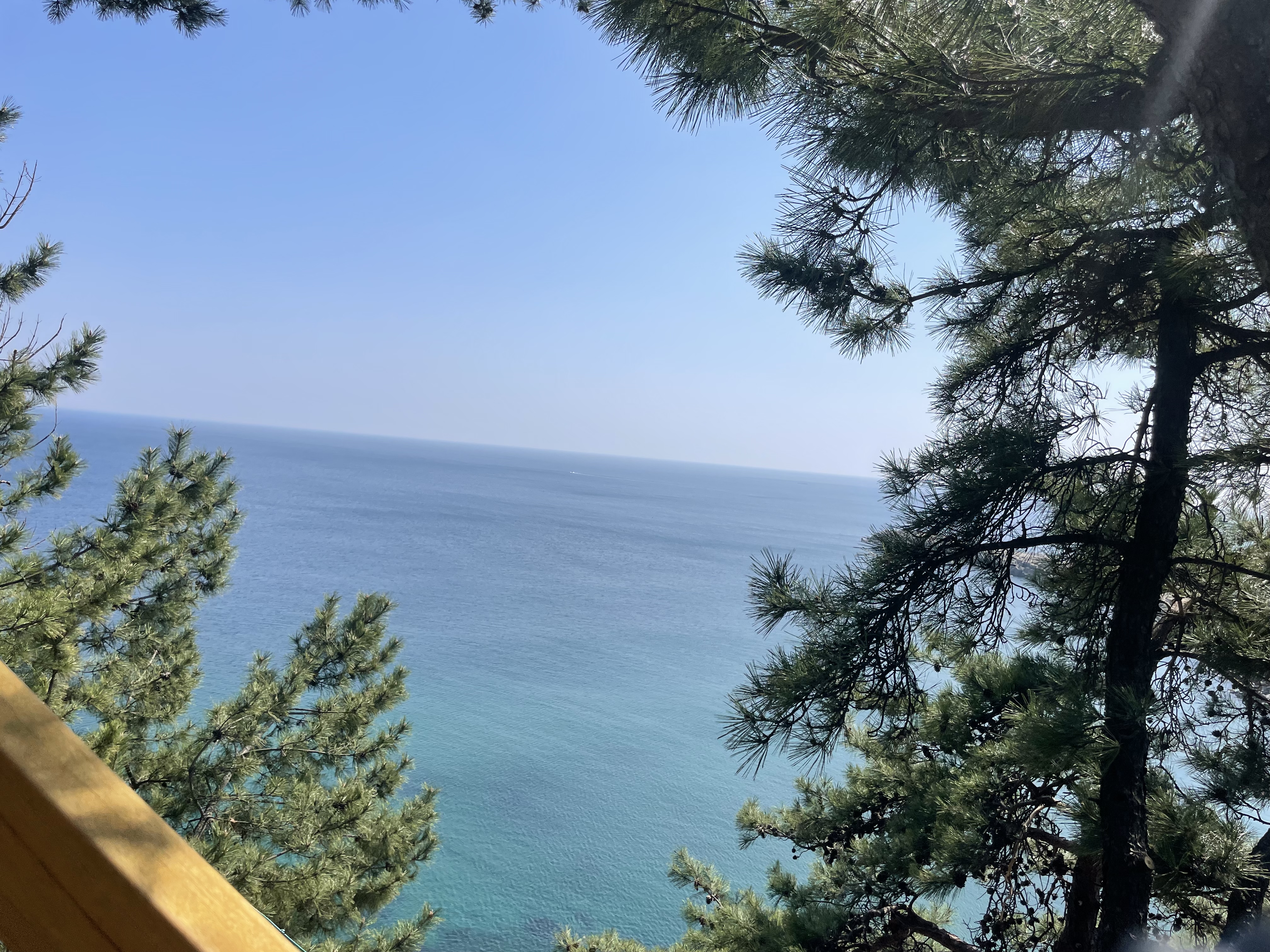 두꺼비수산 이미지