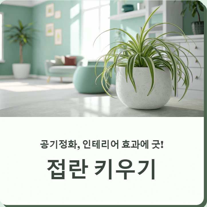 접란