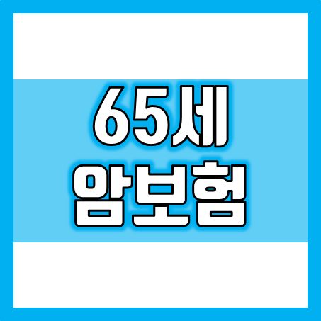  65세암보험, 늦기 전에 준비하세요! 비교사이트로 가장 적합한 상품을 찾아보세요!