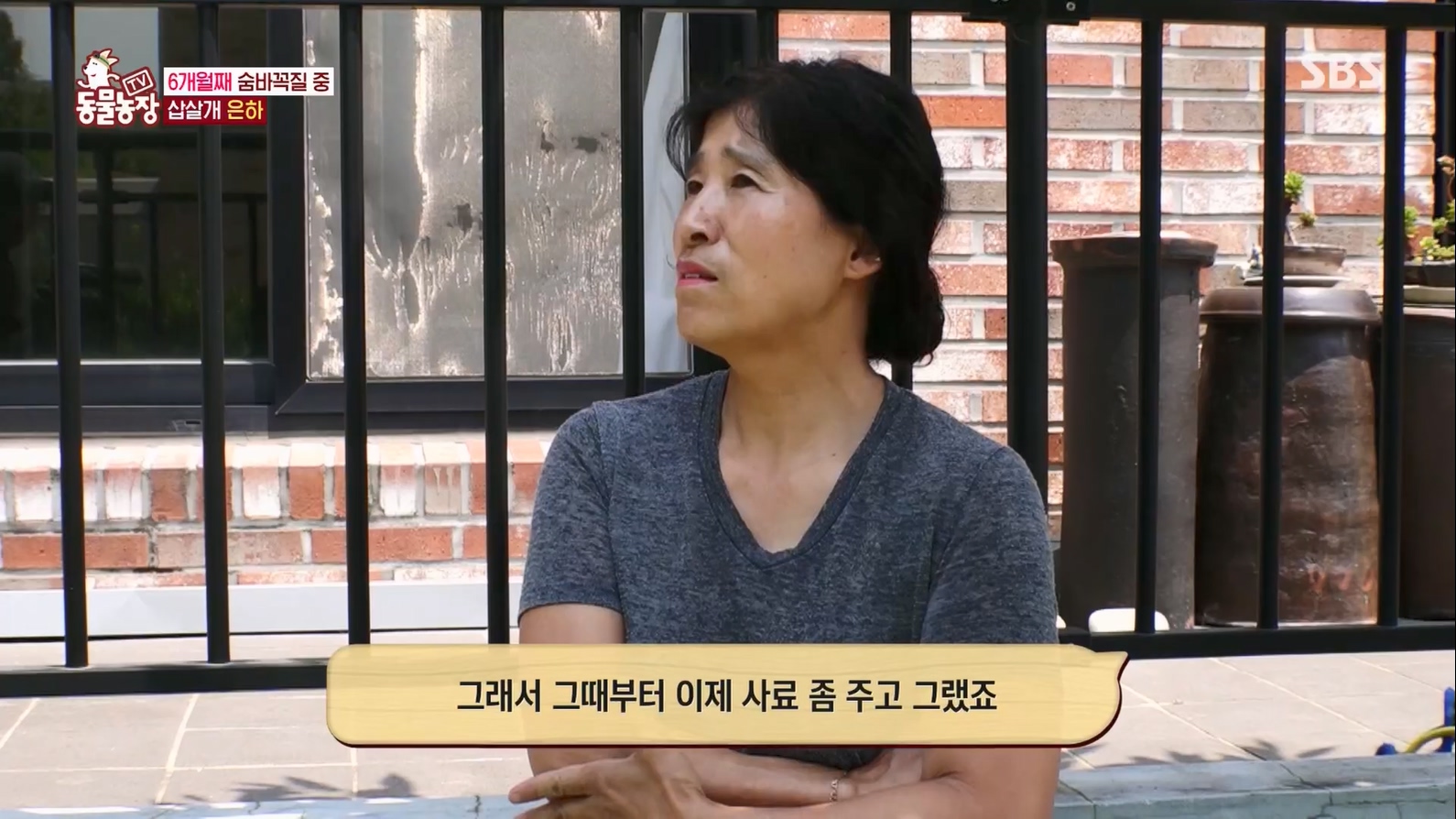 TV 동물농장.E1127.230702p.H264-F1RST.mp4_20230704_212709.023.jpg