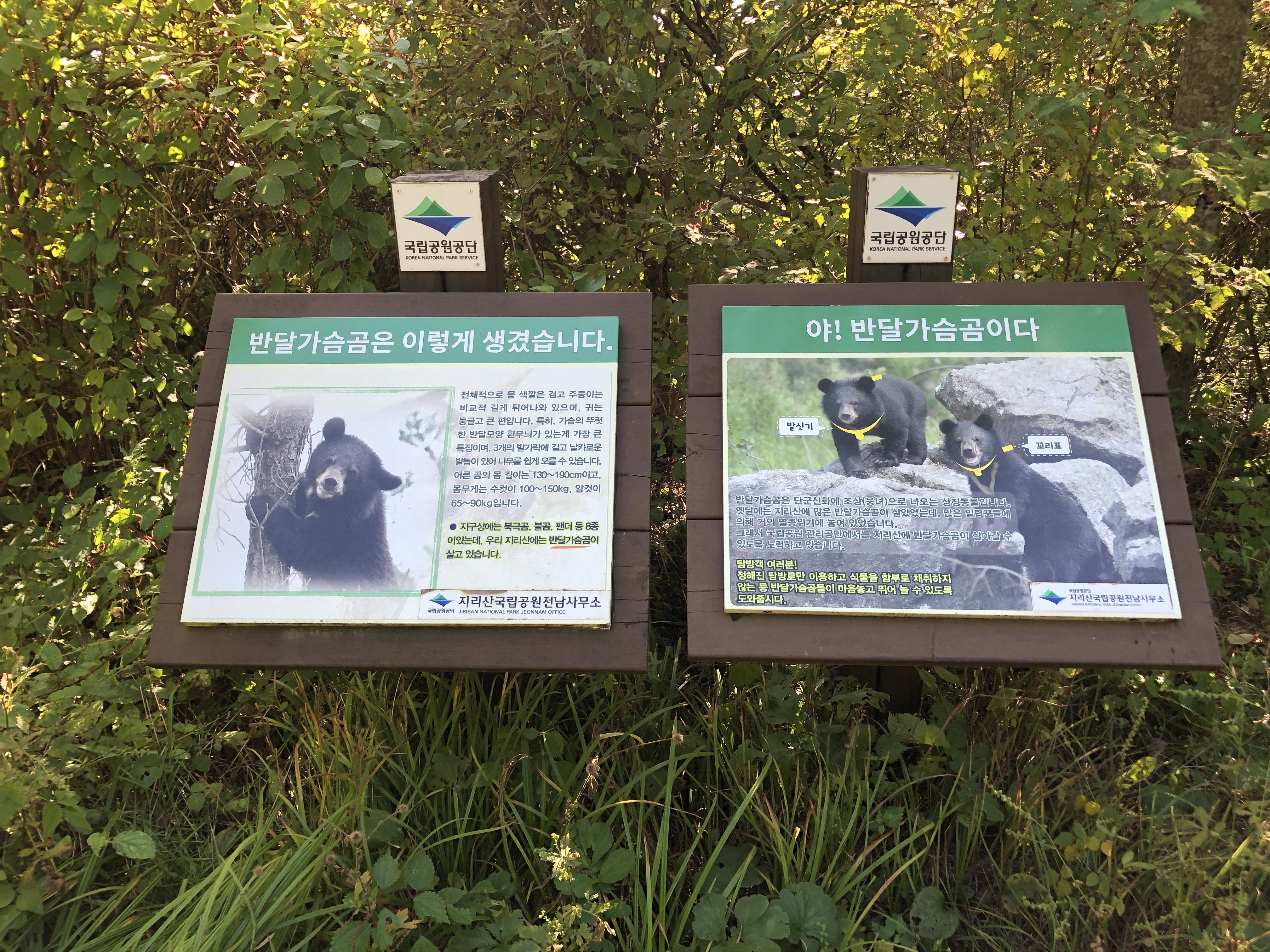 민수랜드-지리산 성삼재휴게소-반달가슴곰