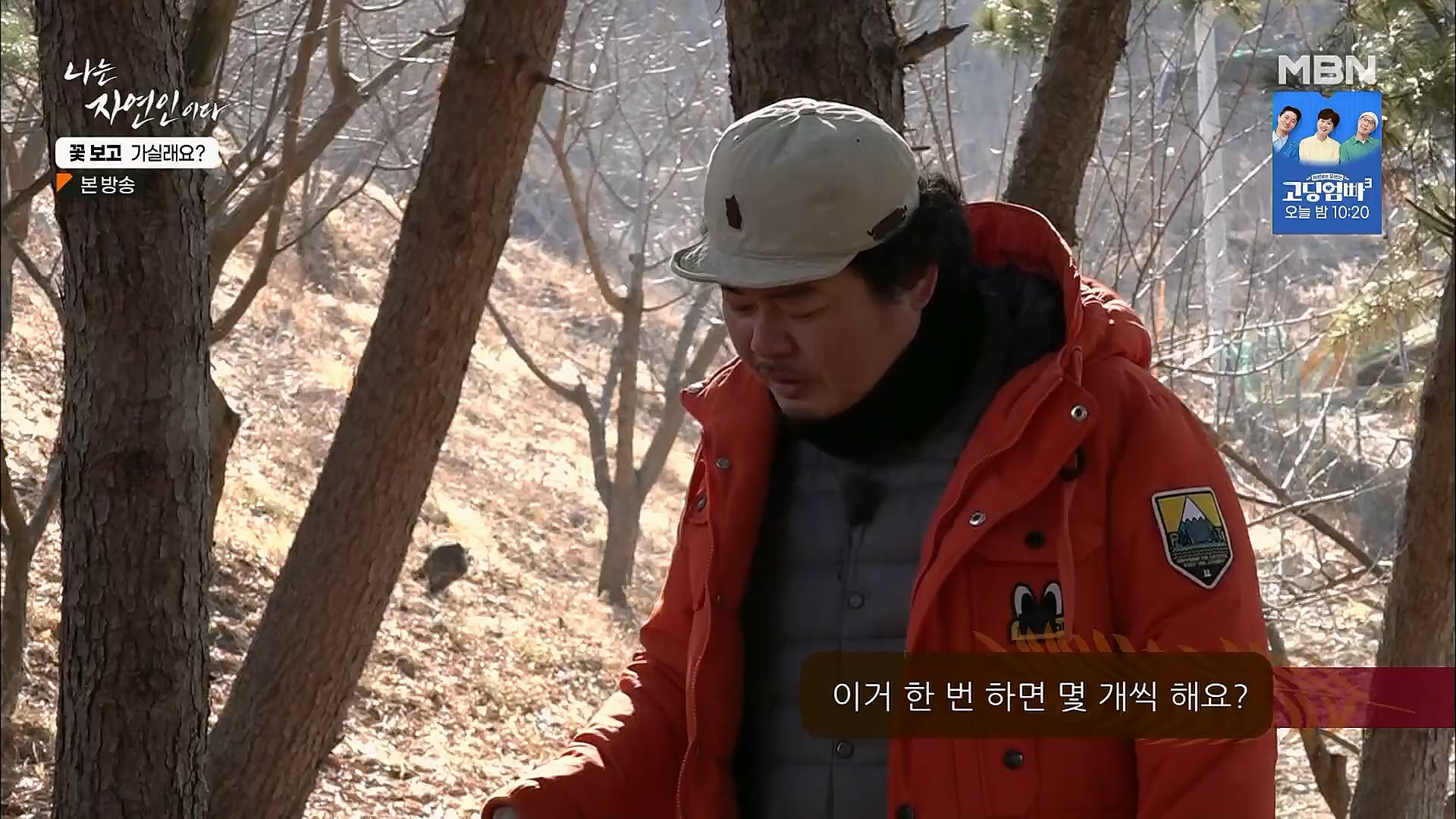 나는 자연인이다.E545.230315p.H264-F1RST.mp4_20230316_212118.573.jpg