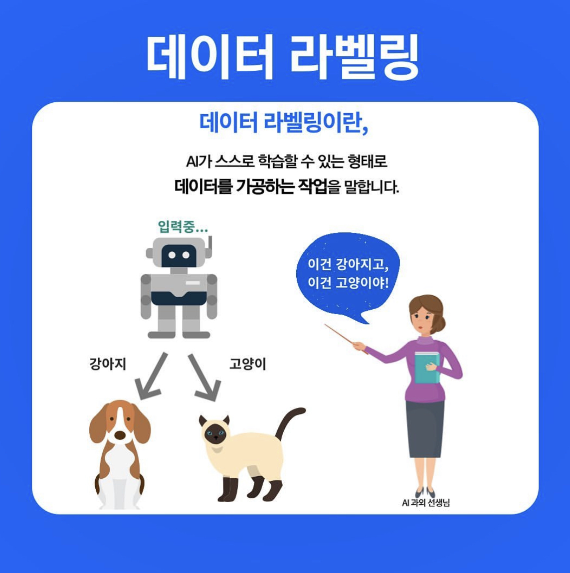 국비지원 무료교육 데이터 라벨링