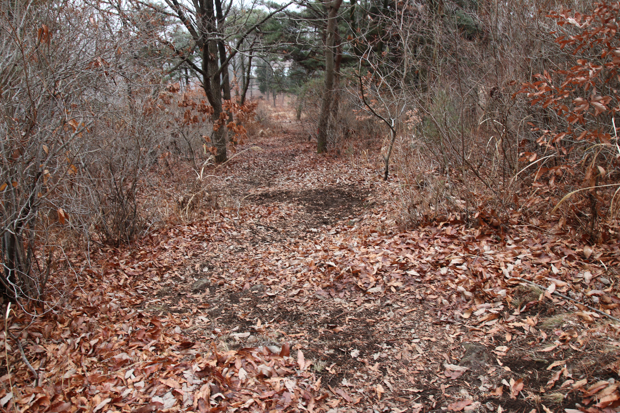 경남 의령군 국사봉 05 15