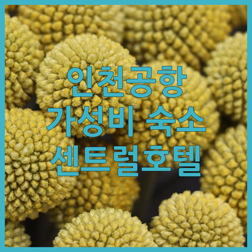 인천공항 근처 호텔 추천 센트럴 투어