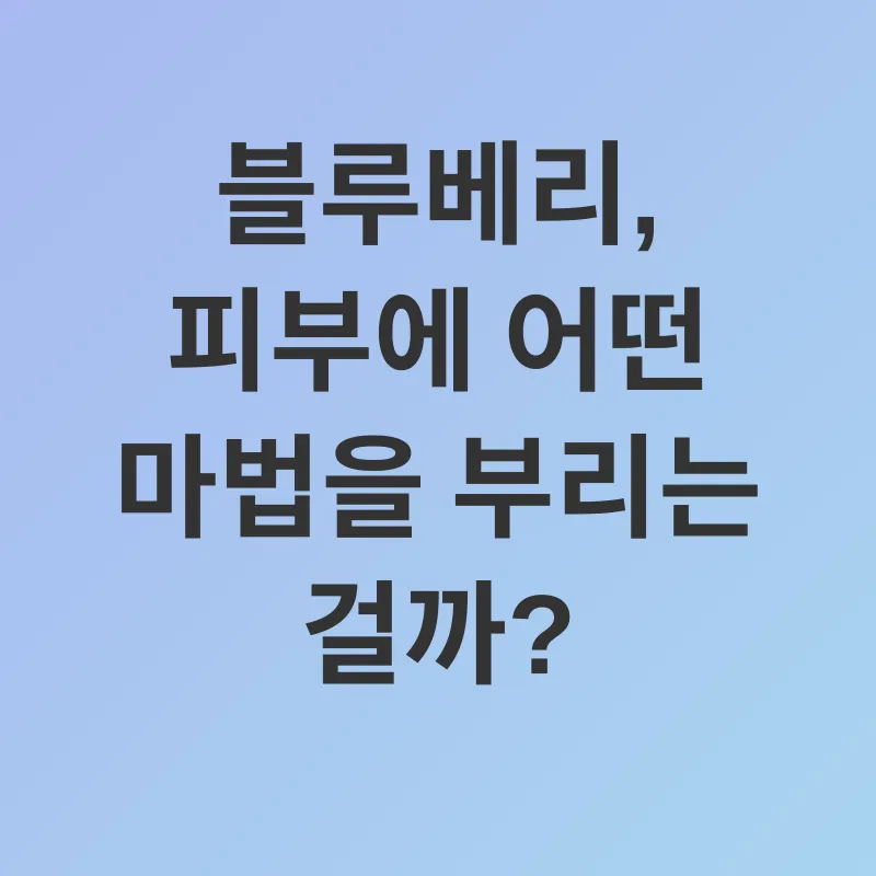 블루베리 피부 효능_1