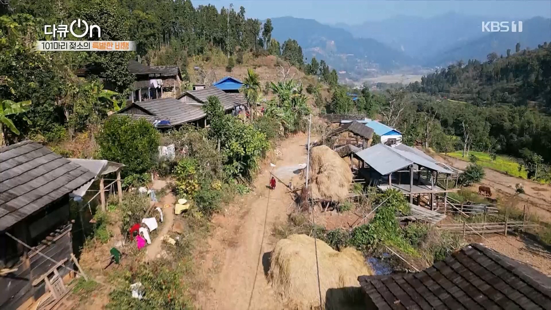 다큐 On.E184.230203p.H264-F1RST.mp4_20230211_175655.540.jpg