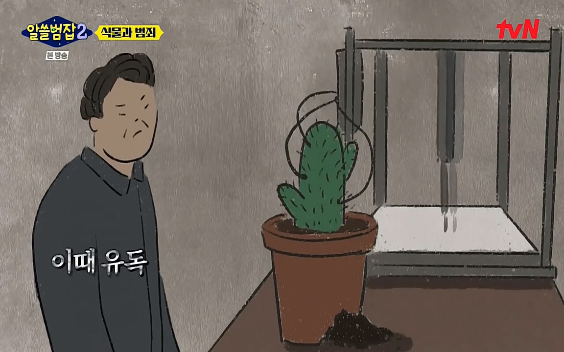 알쓸범잡 2.E15.220425p-NEXT.mp4_20220425_174847.631.jpg