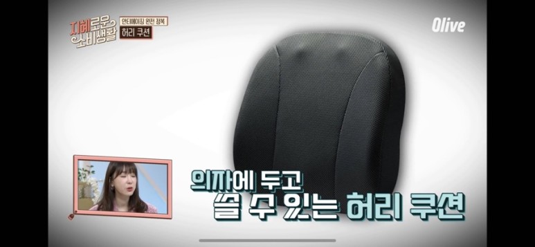  지혜로운 소비생활 A사 기능성 허리 쿠션