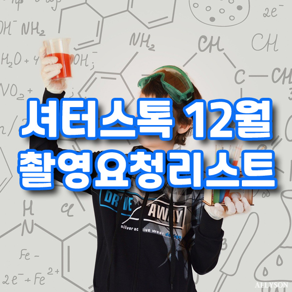  셔터스톡 코리아 12월 저작권 걱정없는 인기 이미지 사진