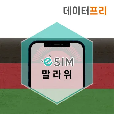편리함을 확실히 더하다 eSIM 제대로 알고 사용하기 이심사용법 완벽 가이드_8