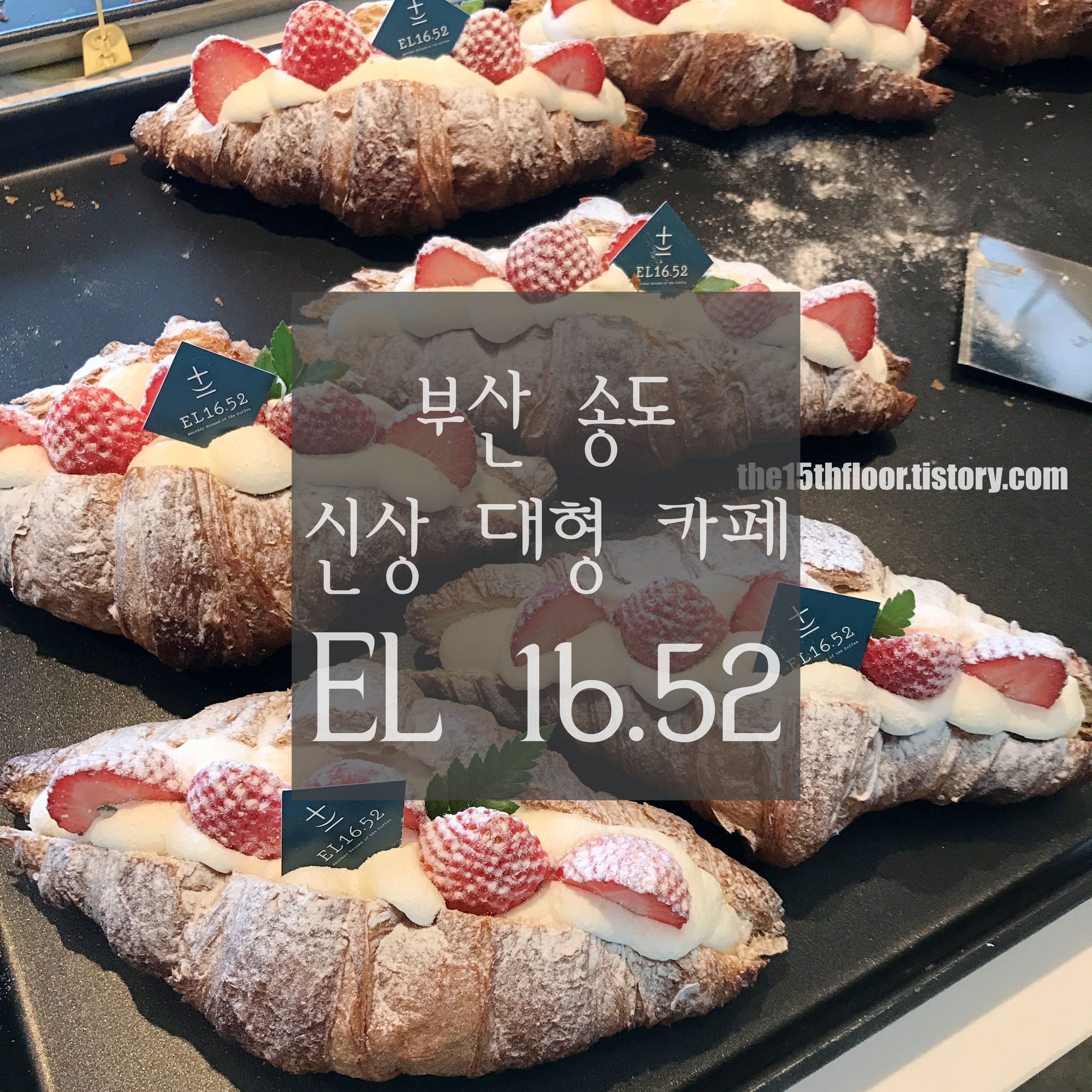  [부산 'EL 16.52'] 송도해수욕장 근처  대형 신상 카페 뷰 맛집˙분위기 맛집˙커피 맛집˙빵 맛집