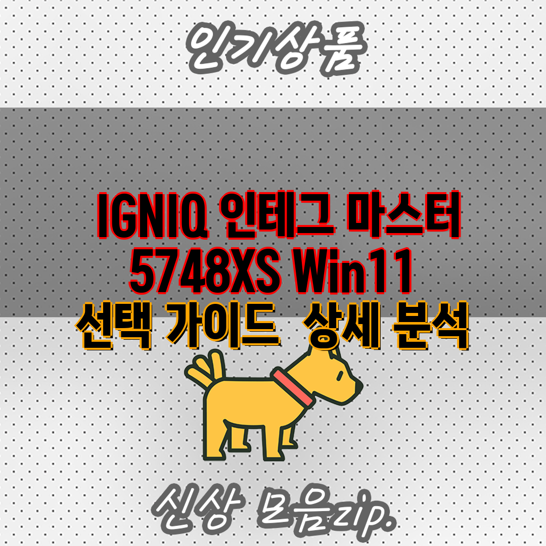  IGNIQ 인테그 마스터 5748XS Win11  선