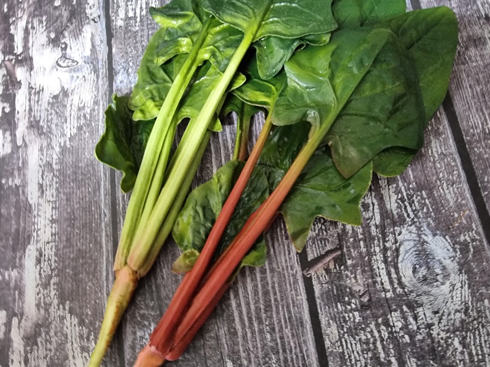 철분 많은 고기 철분이 많은 13