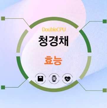 청경채 효능 탐구