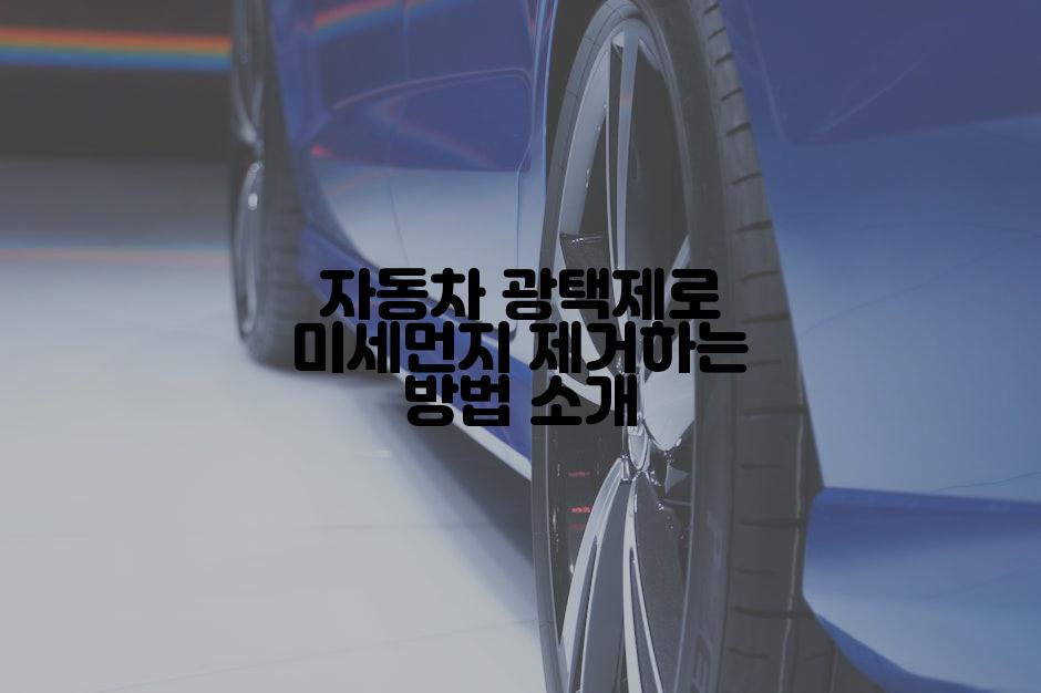 자동차 광택제로 미세먼지 제거하는 방법 소개