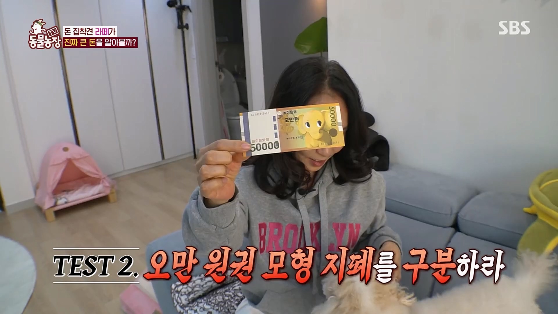 TV 동물농장.E1107.230205p.H264-F1RST.mp4_20230205_173933.011.jpg