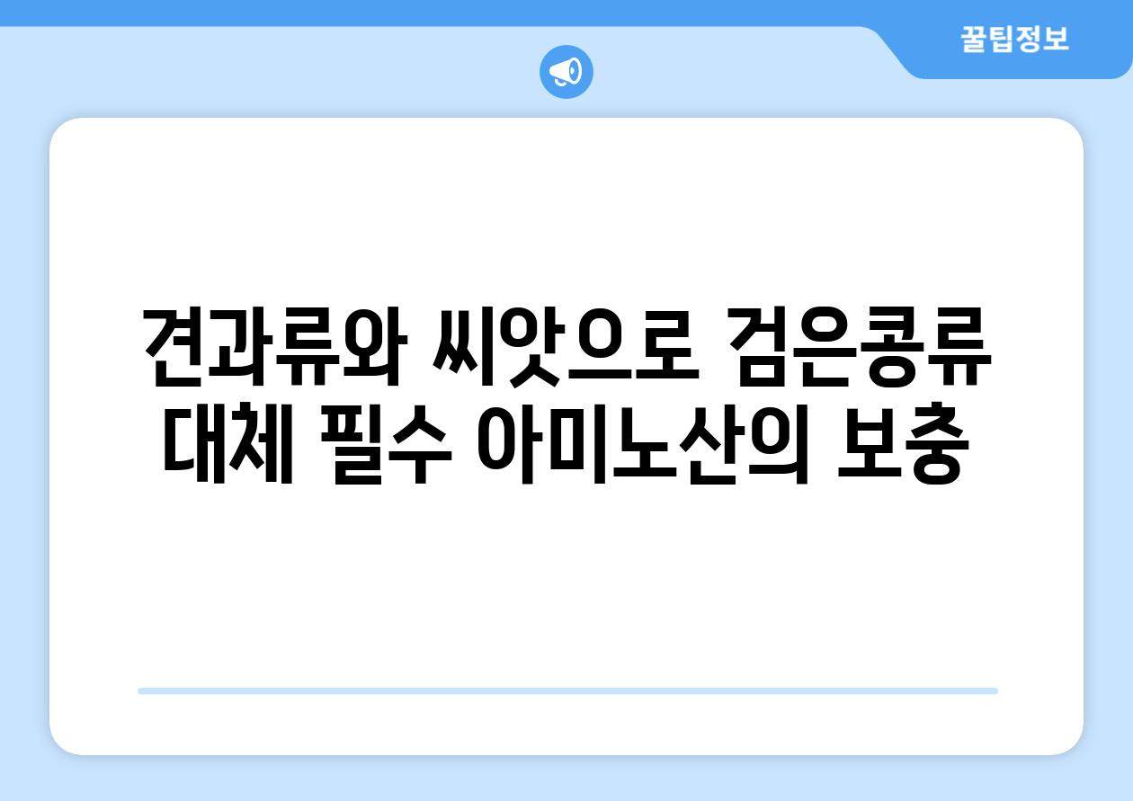 견과류와 씨앗으로 검은콩류 대체 필수 아미노산의 보충