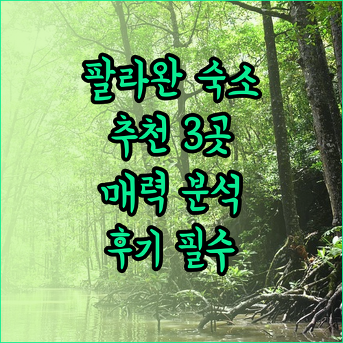 팔라완 여행 숙소 고민 끝 3곳의 매