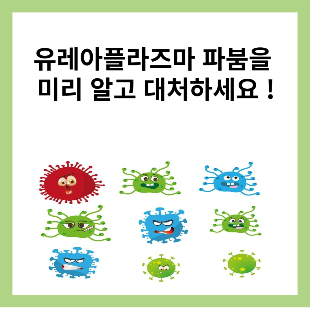  유레아플라즈마 파붐의 증상, 감염경로, 예방법에 대해 알아보고 괜한 걱정 마세요.